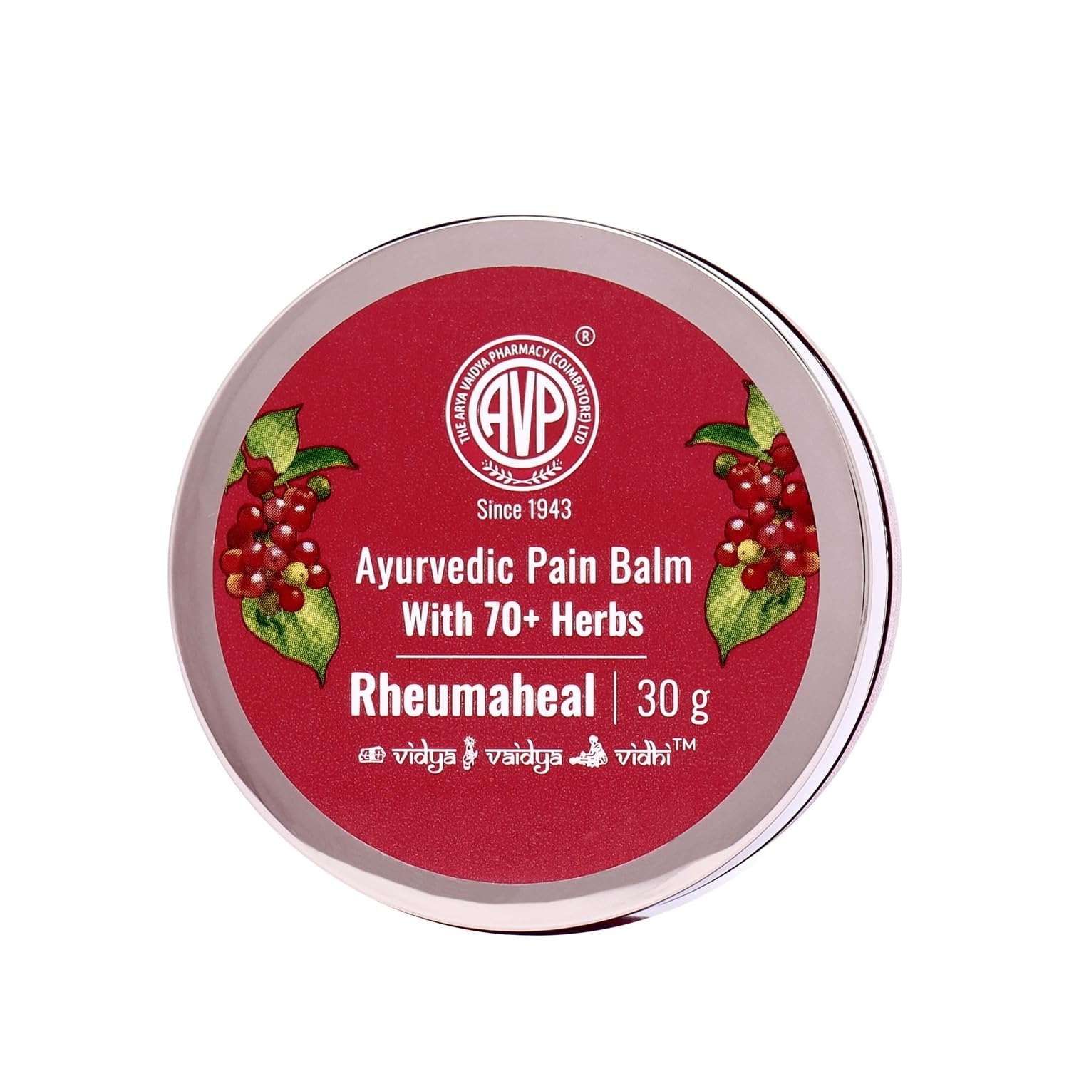 Arya Vaidya Pharmacy Fast Pain Rheumaheal Balm
