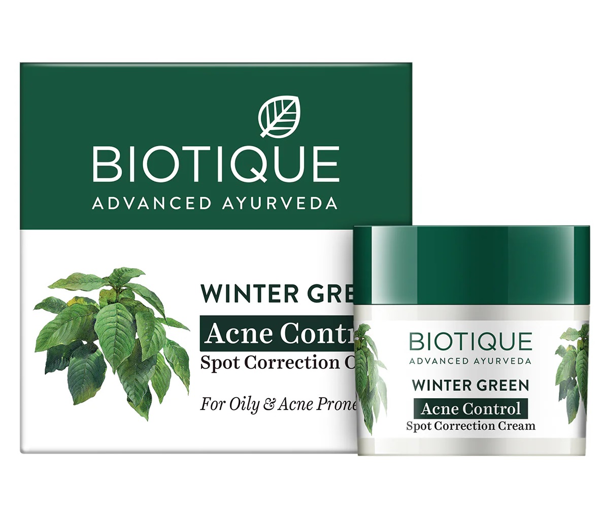 Biotique Winter Green Spot Correcting Anti Acne Cream