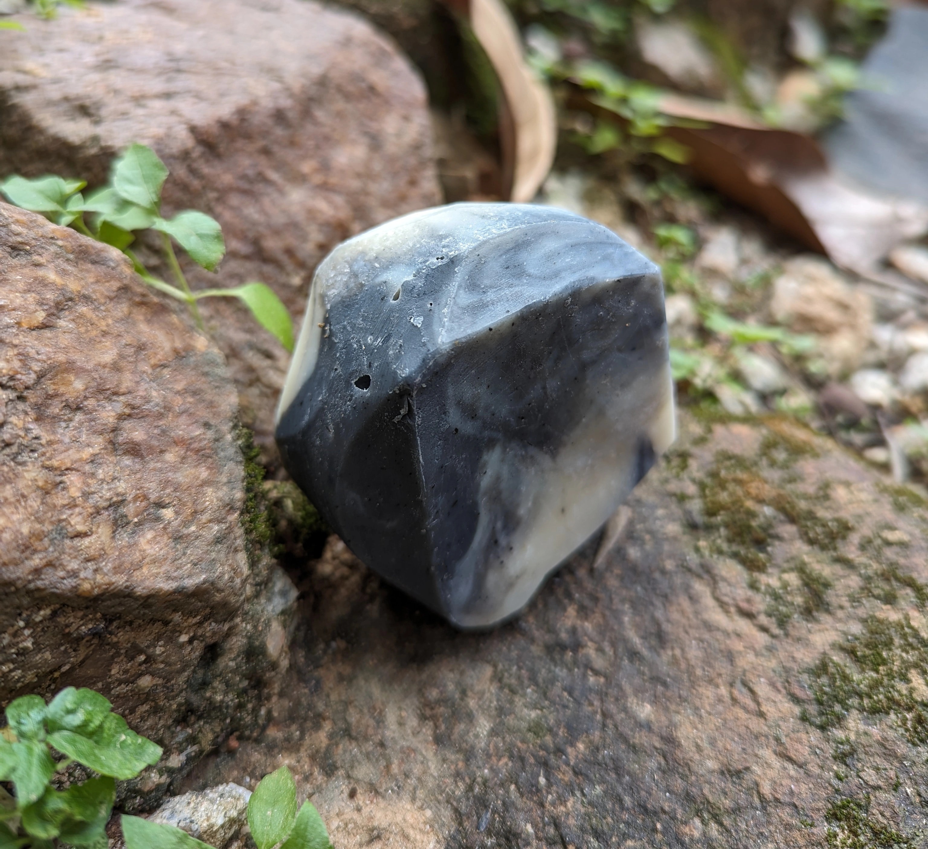 Coconess Stone Soap