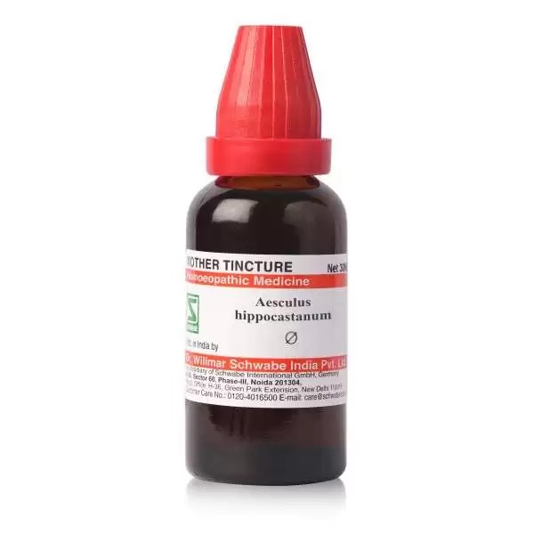 Dr. Willmar Schwabe India Aesculus Hippocastanum Mother Tincture Q