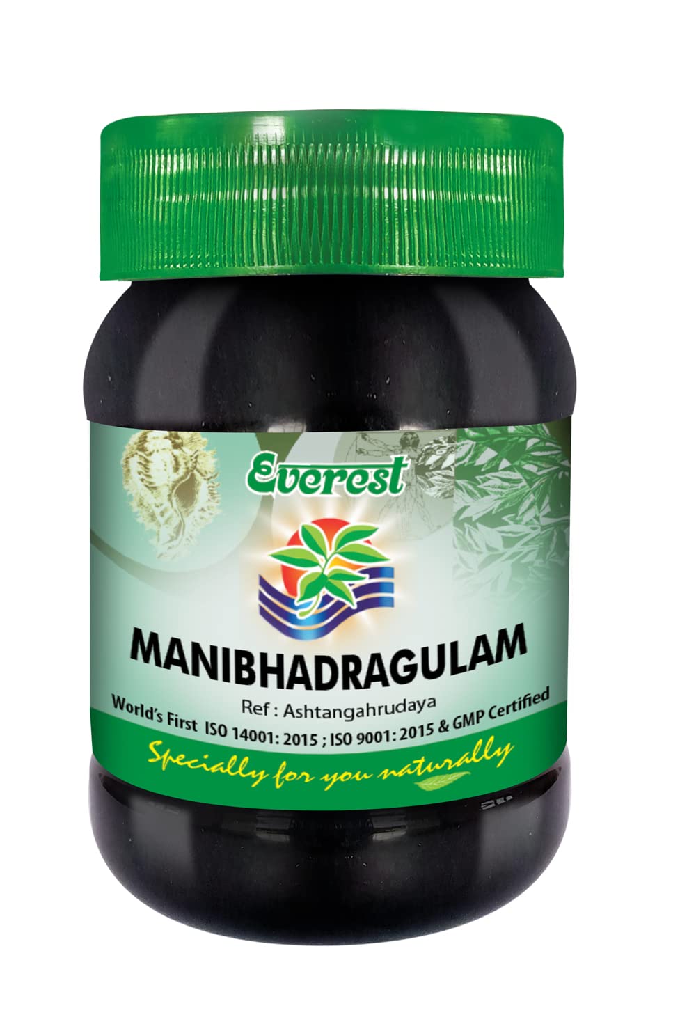 Everest Ayurveda Manibhadragulam 