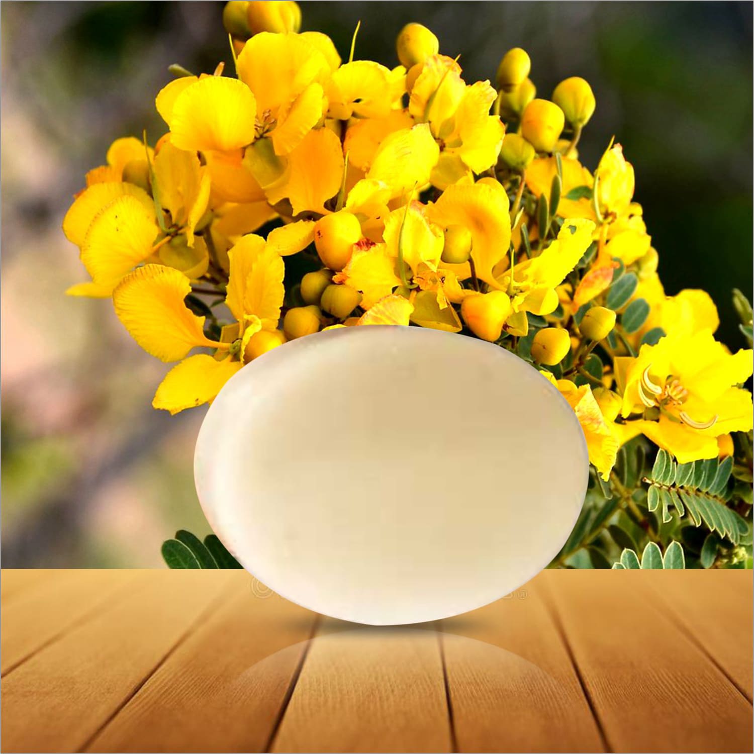 Kelapa Natural Aavaram poo soap