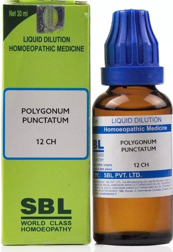 SBL Polygonum Punctatum Dilution 12 CH