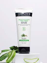 Soul Flower Salicylic Acid Tea Tree Acne Free Face Wash